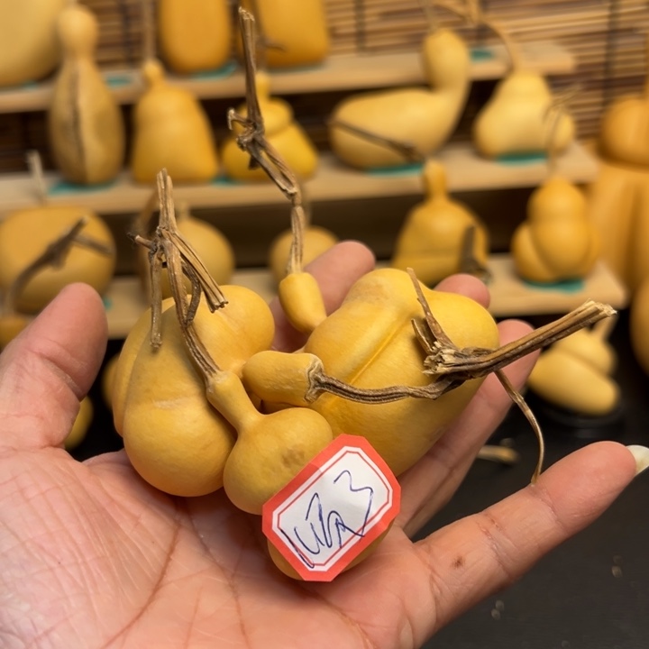 顺*葫芦葫芦葫芦葫芦葫芦葫芦