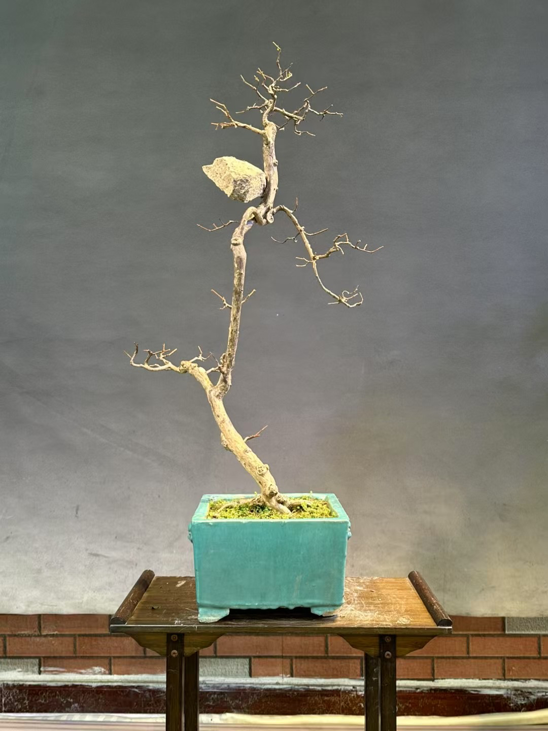 附石紫薇老桩造型盆景室内装饰摆件花卉盆栽植物摆件开花结果送礼