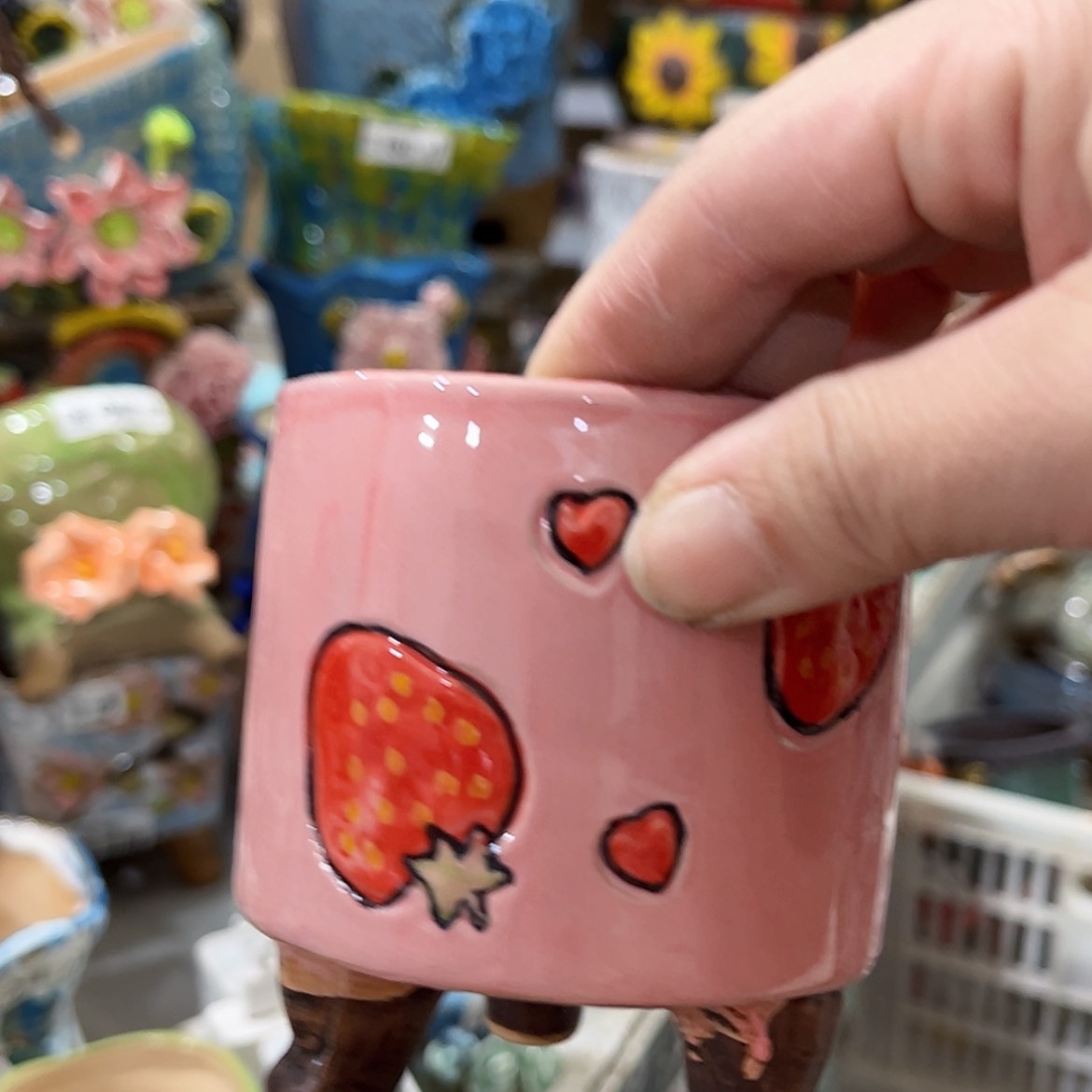 【闪购商品】红陶福利