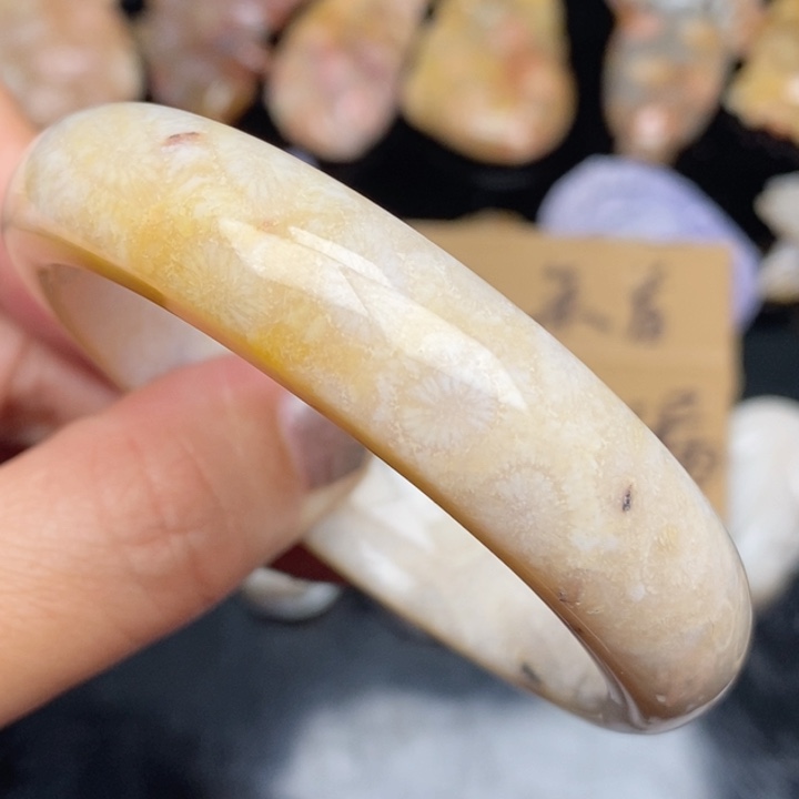 硅化珊瑚（珊瑚玉）手镯未镶嵌55