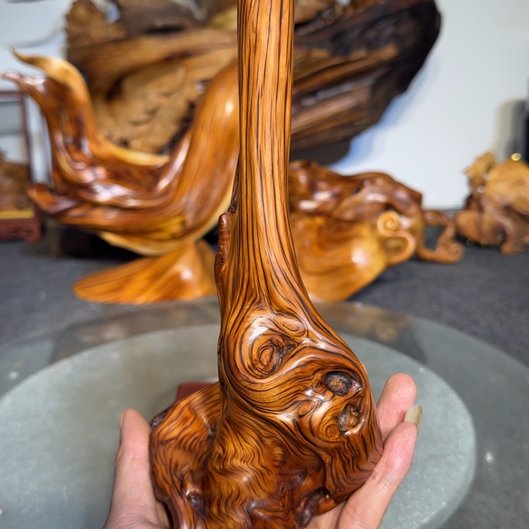 琪***怪柏木太行崖柏88888