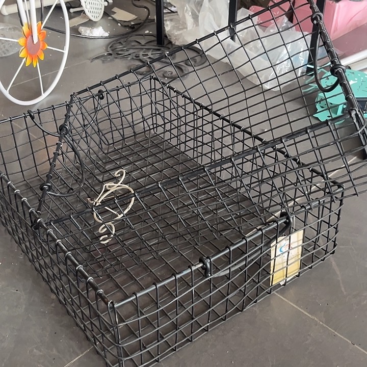 孤品炸炸炸炸炸炸