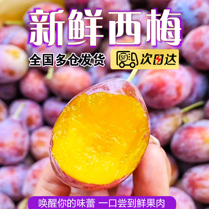 顺丰【放软后吃】新鲜现摘西梅放软后吃香甜多汁原产地直采次日达