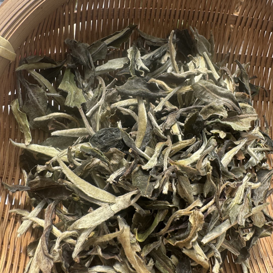 云南腾冲～2022贡眉白茶散茶，香气高扬