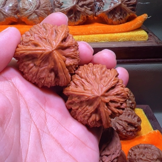 终极御龙筋球奔42边35高
