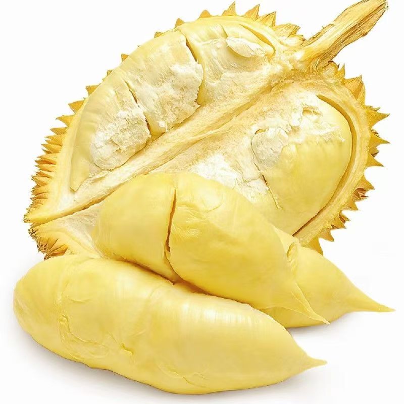 【新到款】 金枕榴莲新鲜榴莲1-5kg（03号）核小金枕泰国越南