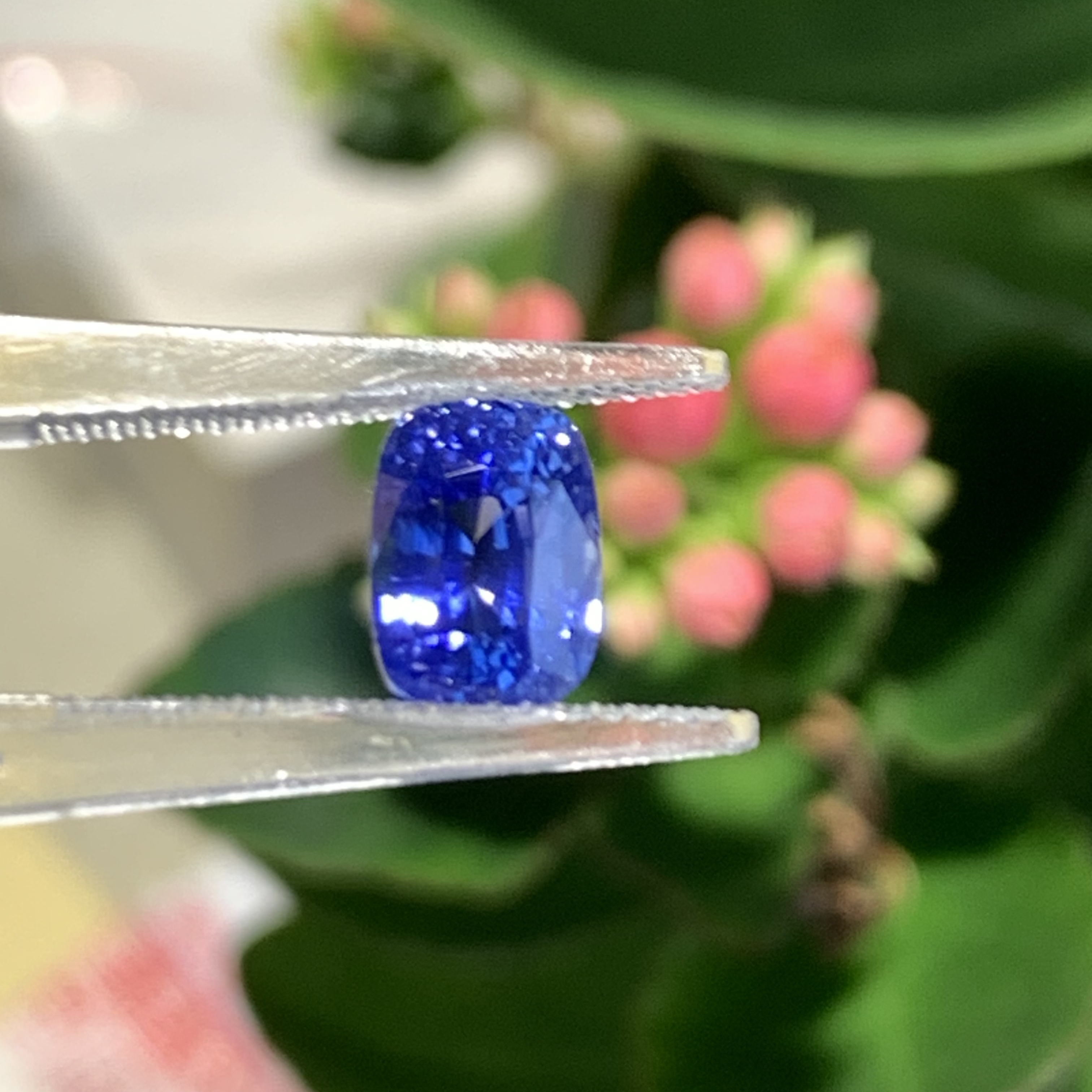 天然斯里兰卡无烧矢车菊蓝宝石干净3:09克拉定制镶嵌国际证书
