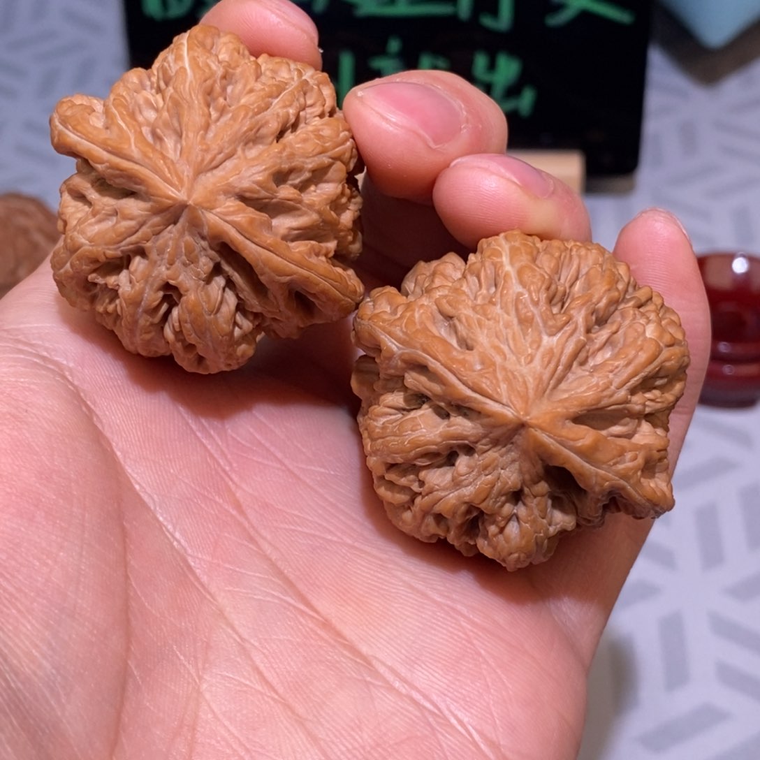 43.5尺粗筋 全品无修 精配