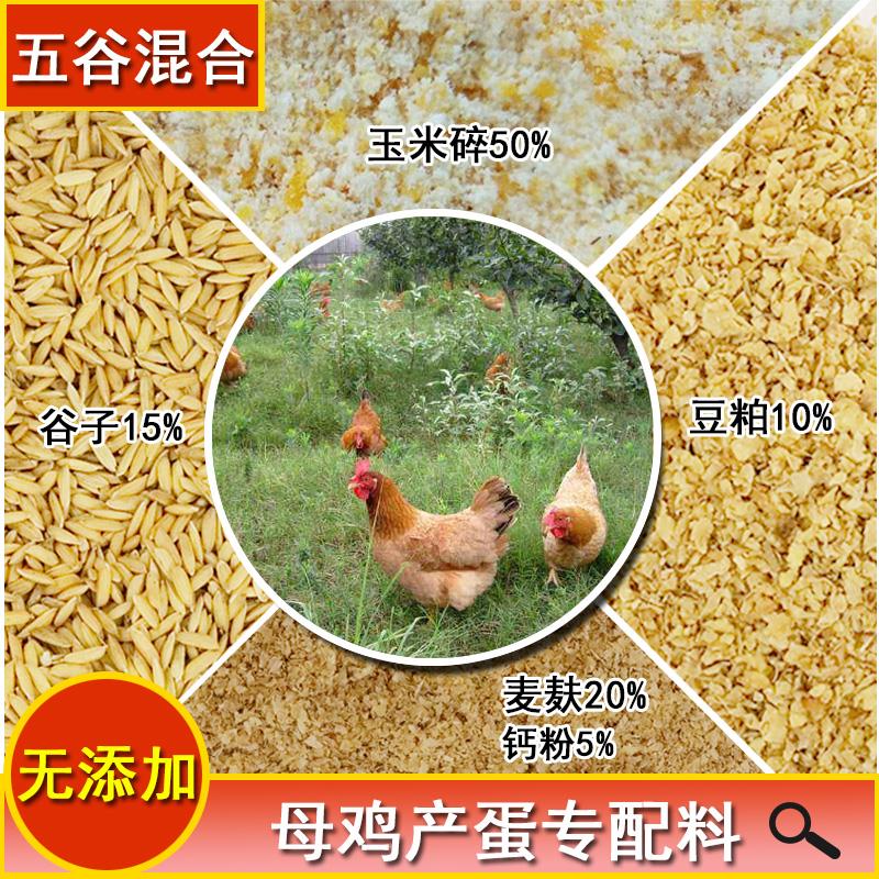 混合养鸭粮鹅禽散饲料五谷专用农家母鸡麦麸玉米产蛋豆粕稻谷碎大