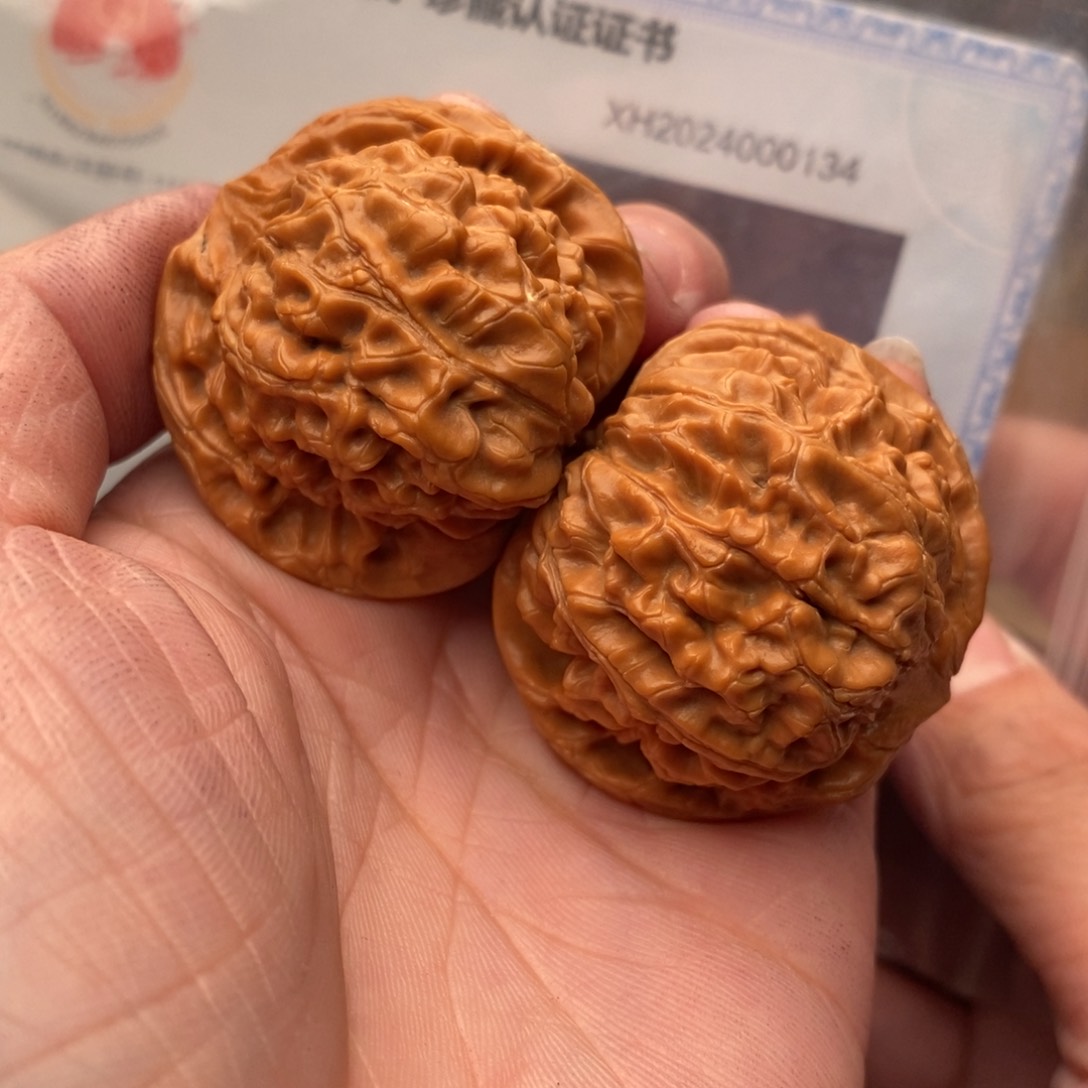 文玩核桃把件核王39