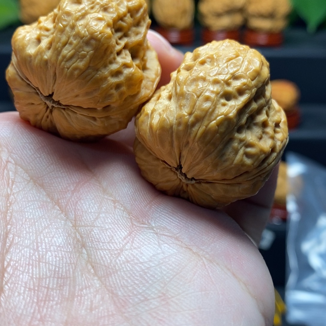 把件文玩核桃38龙脊妖蟾