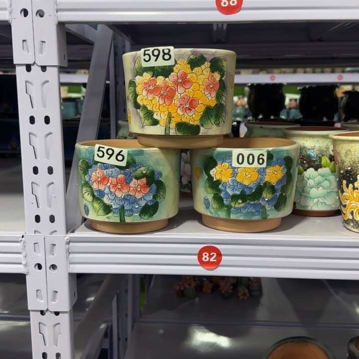 田小姐多肉花盆3个