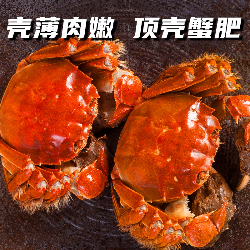 【活蟹现发】江苏精品大闸蟹全公3.5-3.2两 到手8/10只