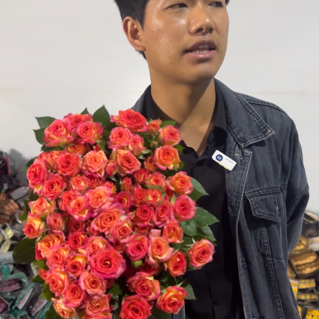爱丽丝4扎包邮价秒杀