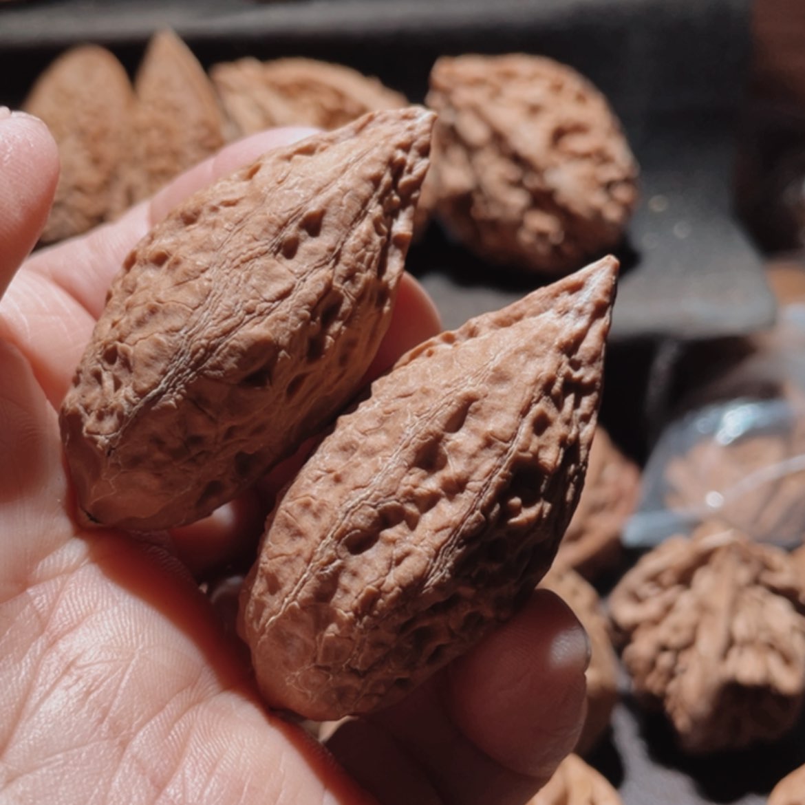 【闪购商品】文玩核桃把件东北楸子20