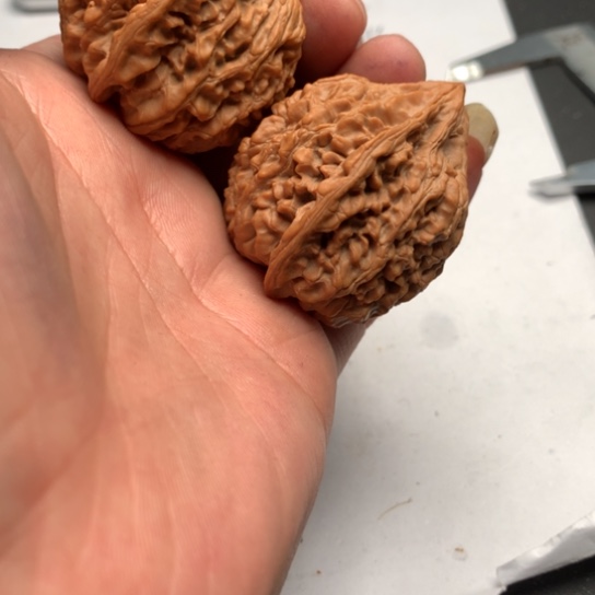 单**L我的心好痛啊好想哭好