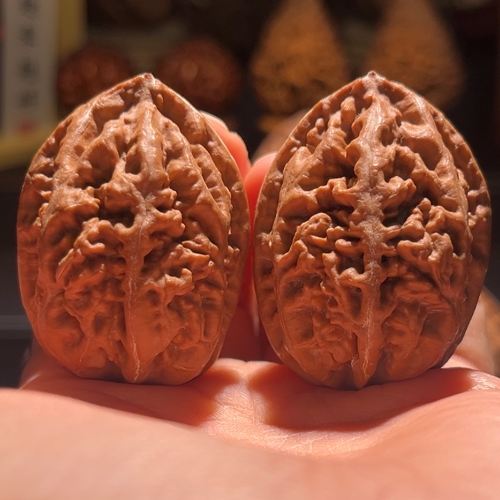 文玩核桃吊坠老树珊瑚纹12