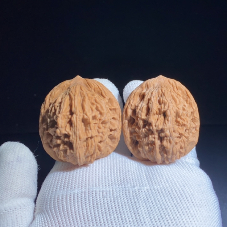 堂虎尺寸40左右精品