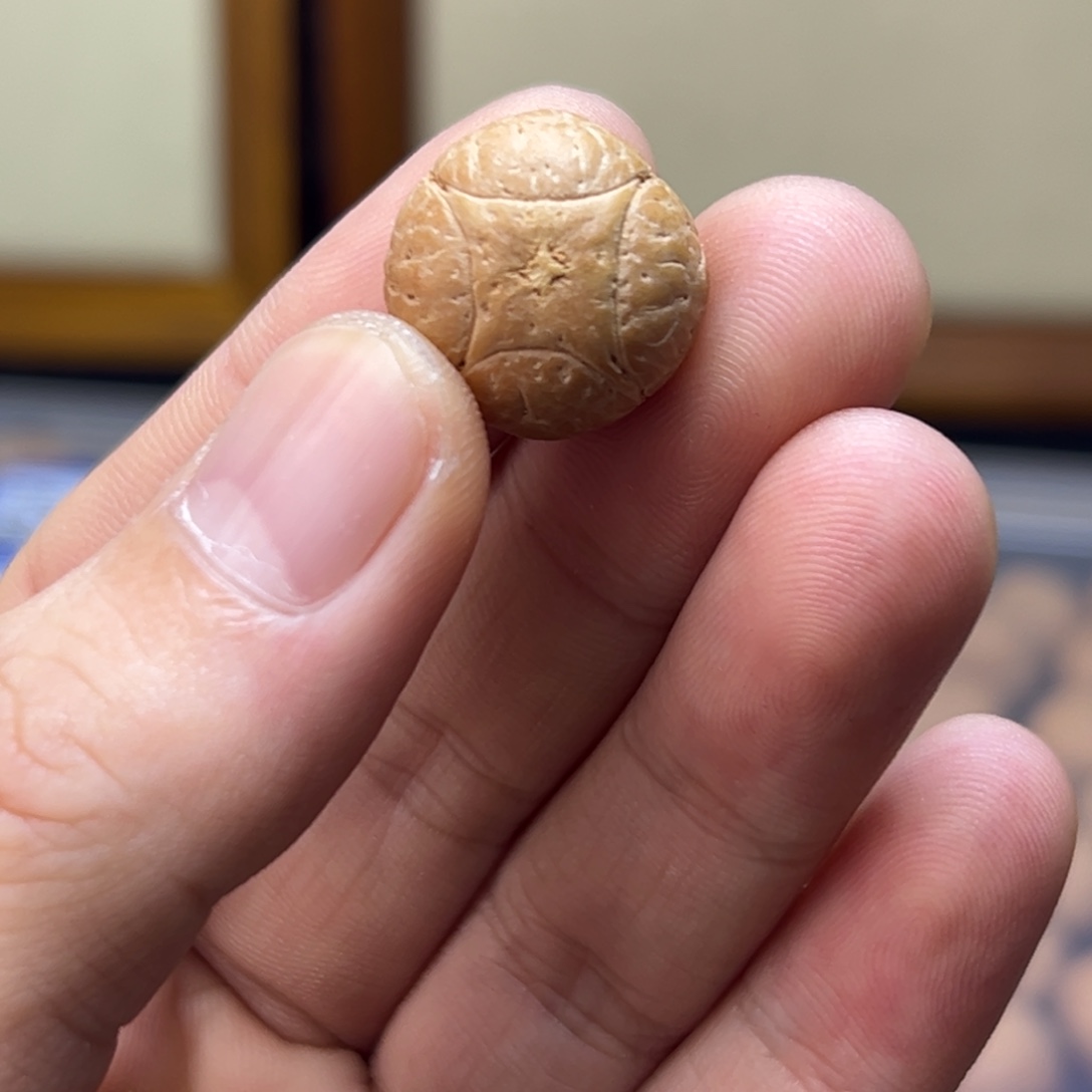 细***香手串凤眼菩提18.1巨目麒麟眼打孔不退换