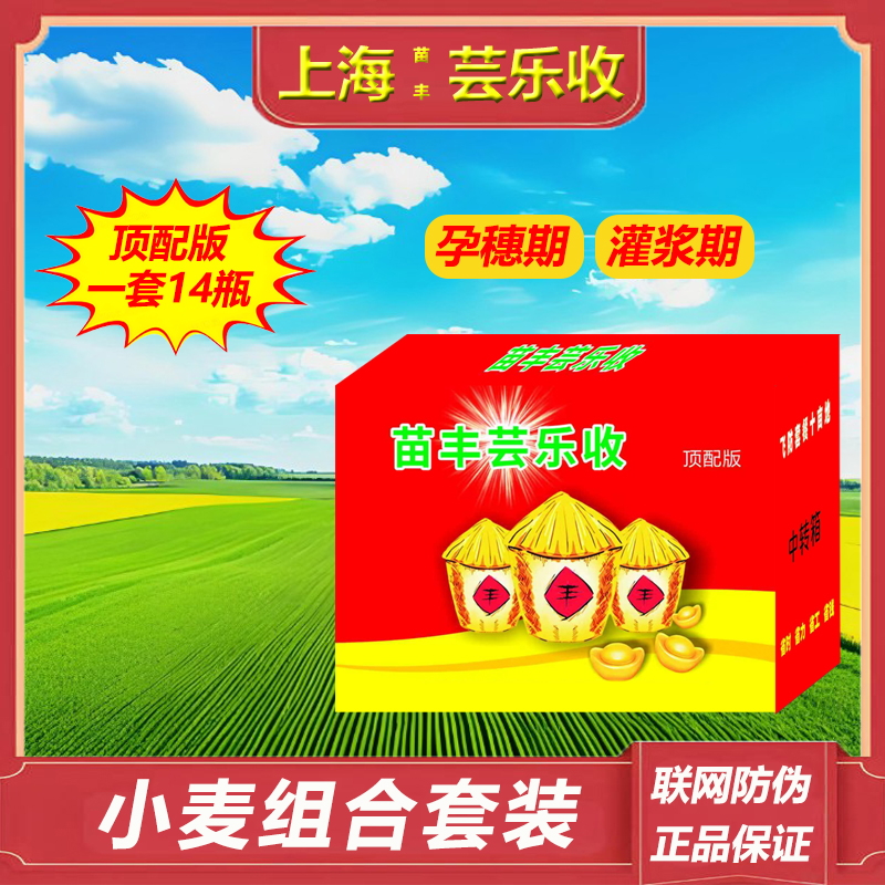【苗丰芸乐收】小麦组合方案孕穗期灌浆期用一套十亩地可飞防叶面肥