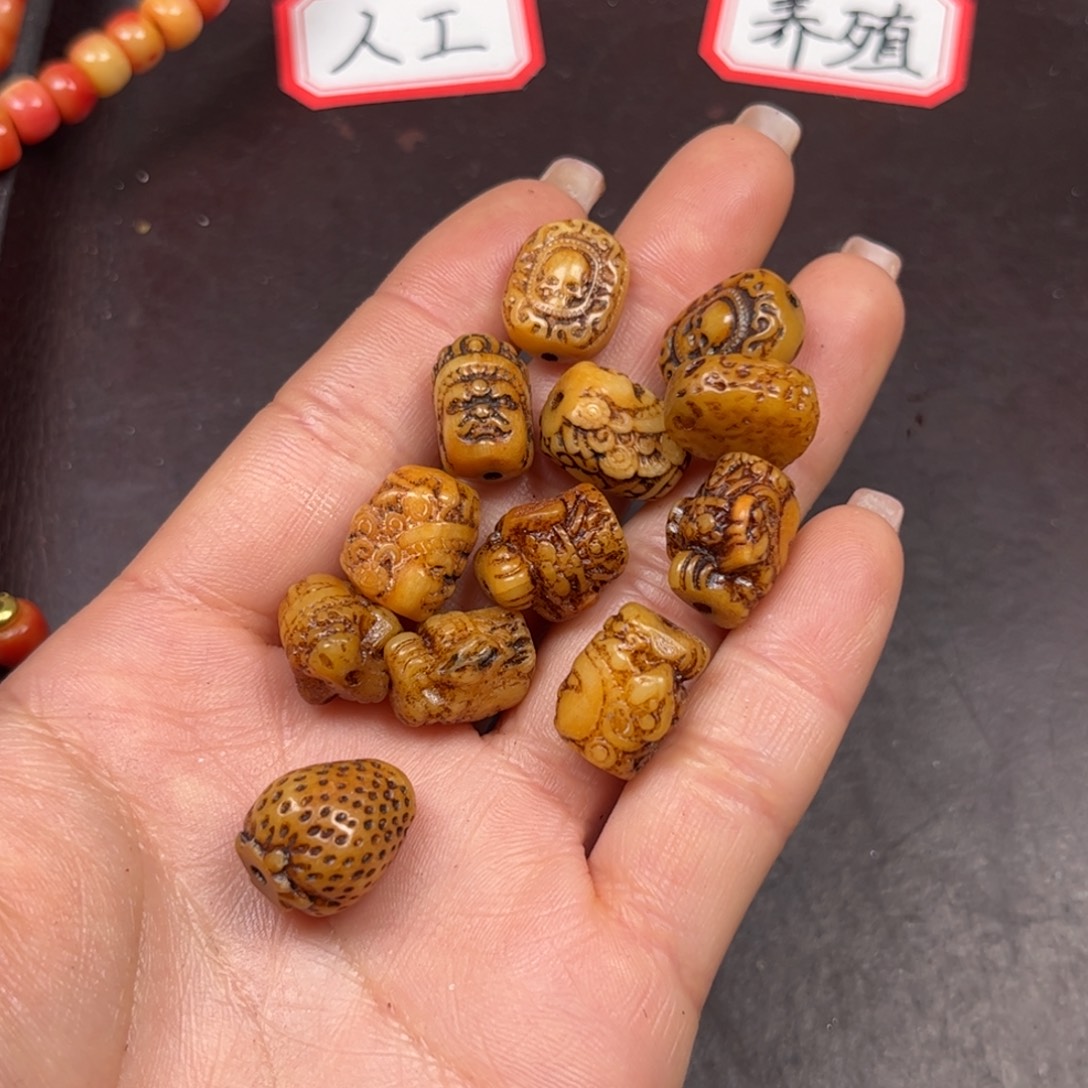 领***4驼骨手串/手链编号106打包
