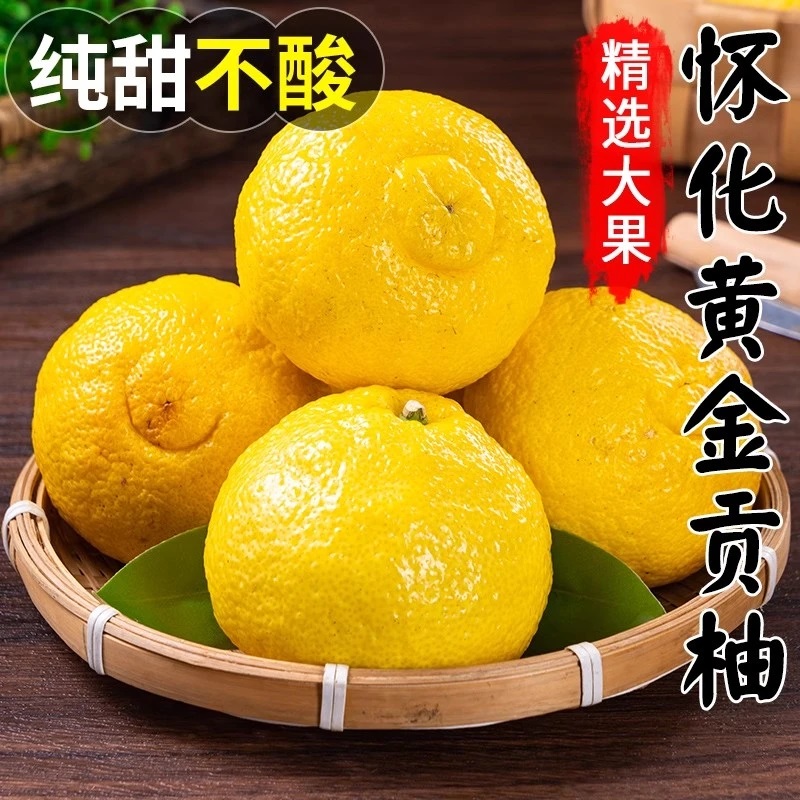 【产地助农】象山青湘西岩陇黄金贡柚当季新鲜水果正宗怀化纯甜多汁商品图