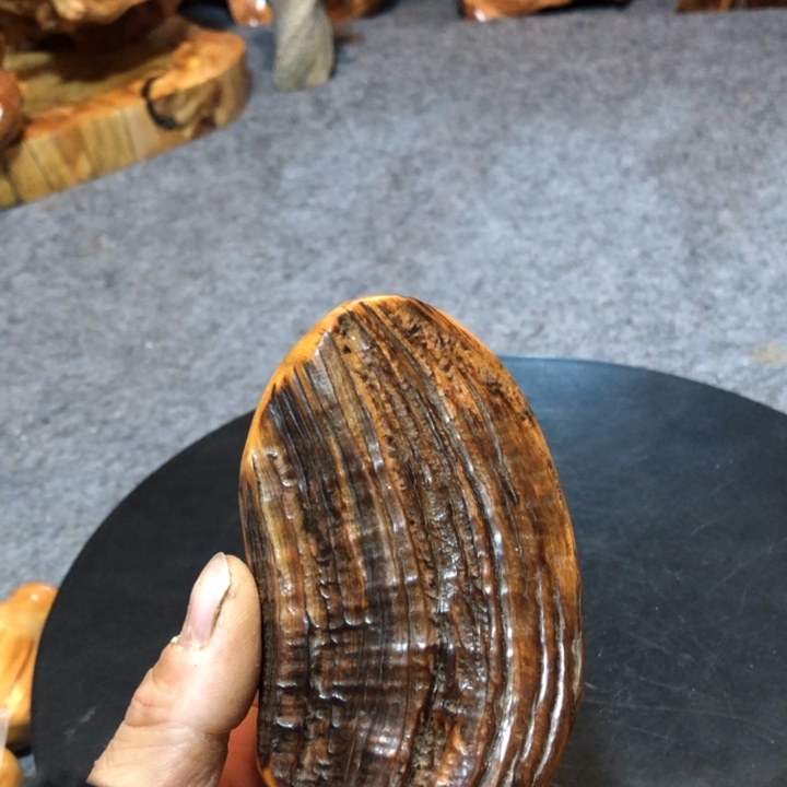 柏木（崖柏）7**0崖柏18