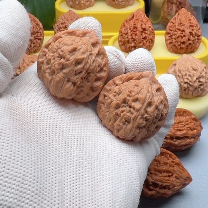 核桃福利野生金三角