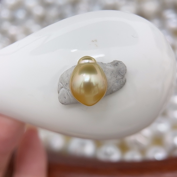 海水珍珠未镶嵌颈饰10.4*13.7 金珠 明月香槟金H8