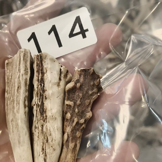 清***晓鹿角鹿角鹿角鹿角鹿角鹿