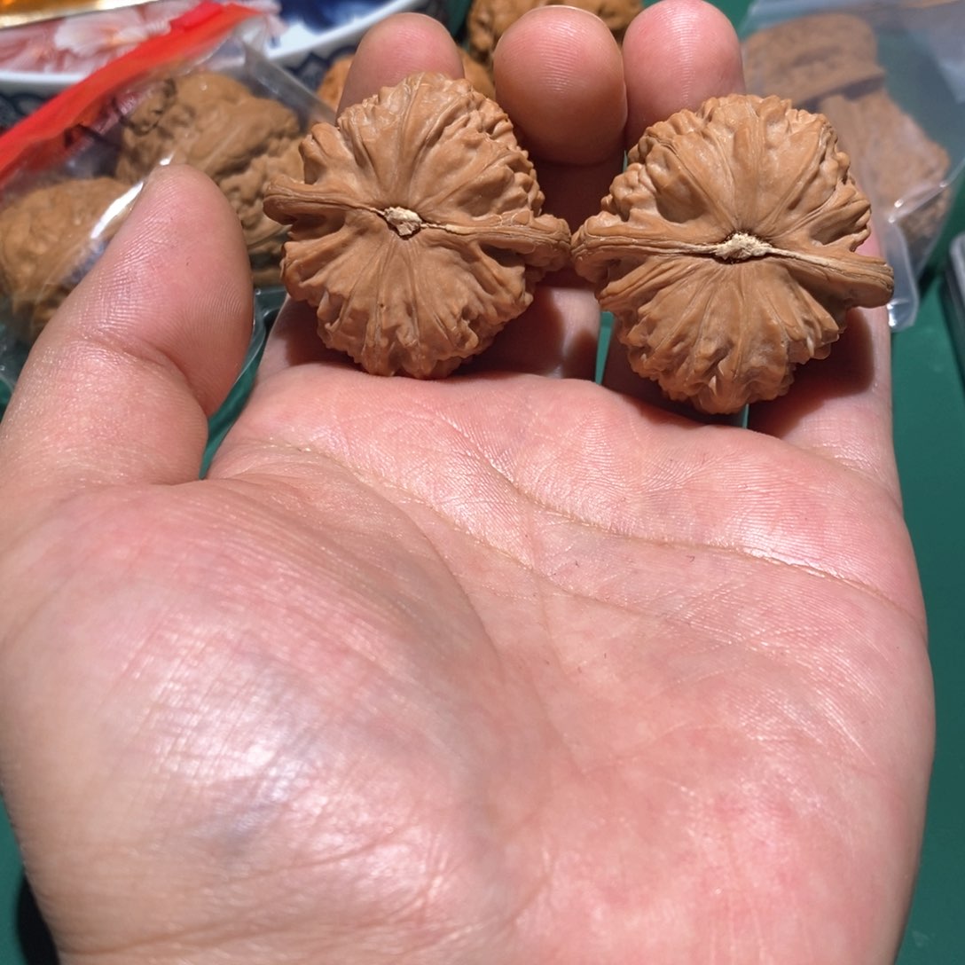 文玩核桃吊坠积***德40白狮子全品