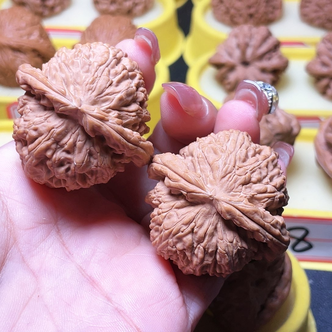 吊坠文玩核桃和****通43尺白狮子