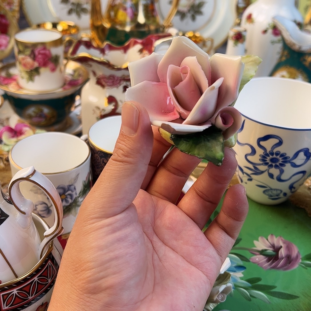 杯哈哈哈哈哈哈哈哈