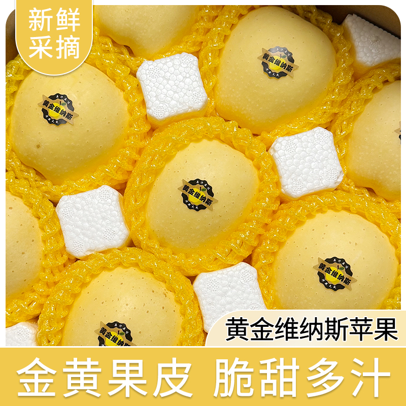 苹果新鲜水果现摘现发正宗黄金维纳斯苹果优质圣诞平安夜苹果送礼