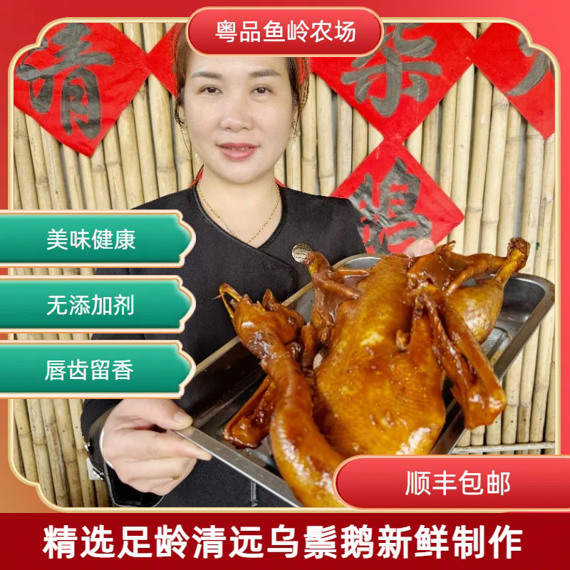 广东电视台好物推荐清远特色美食传统碌鹅半只装解馋零食