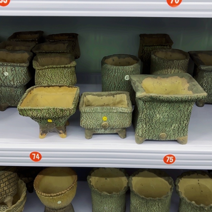 红陶内敛的人是不可能