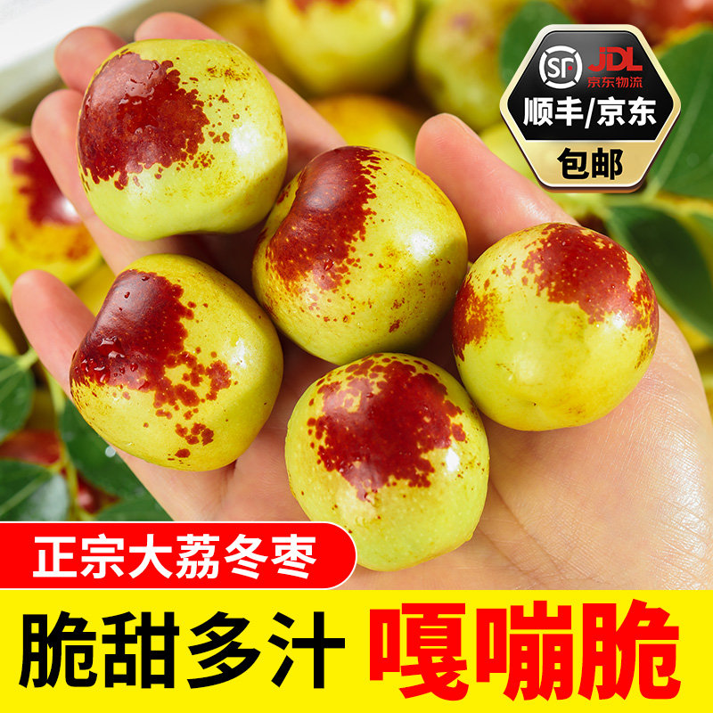 【产地直发】正宗陕西大荔冬枣新鲜现摘现发应季水果脆甜D