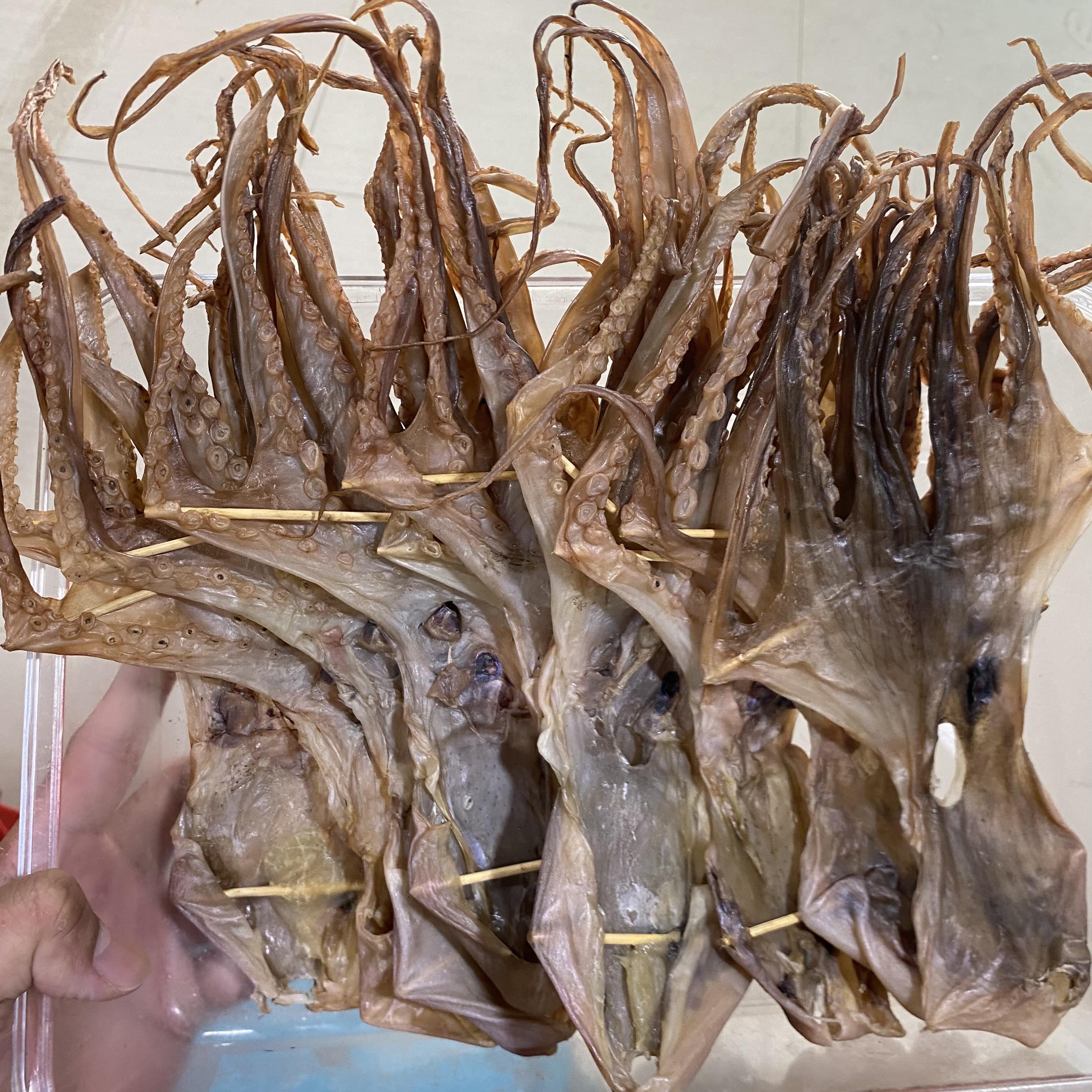 本港新鲜中号章鱼干 中章八爪鱼干 煲汤佳品