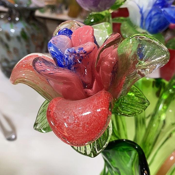 夜光花高45厘米宽12厘米