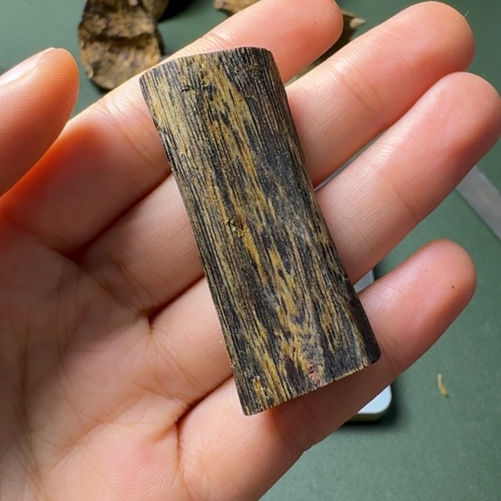 沉香手把件海南乌身圆叶树心油老料6克