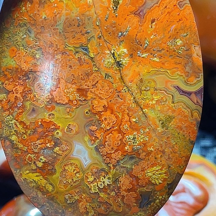 玛瑙/玉髓玛瑙未镶嵌杨*