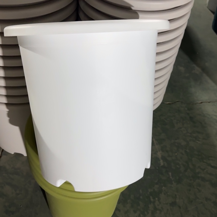 微瑕8#口径39无托纯白3个