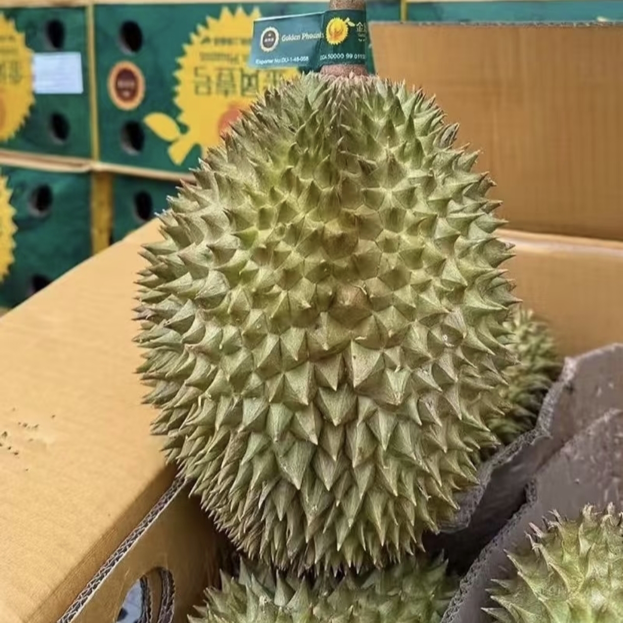 2号【鲜果黑刺】A果一物一拍马来西亚空运树熟鲜榴莲3-9斤整果现开核小同城小时达安心配送到家金枕泰国