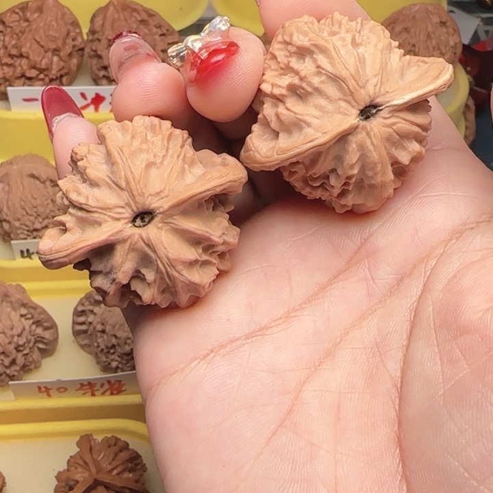 漠***.问问核桃大耳朵图图大耳朵图图