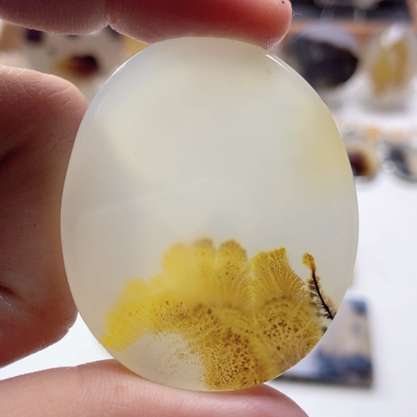 【闪购商品】玛瑙/玉髓颈饰未镶嵌