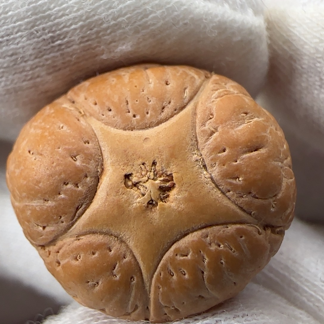 吊坠凤眼菩提凤眼菩提