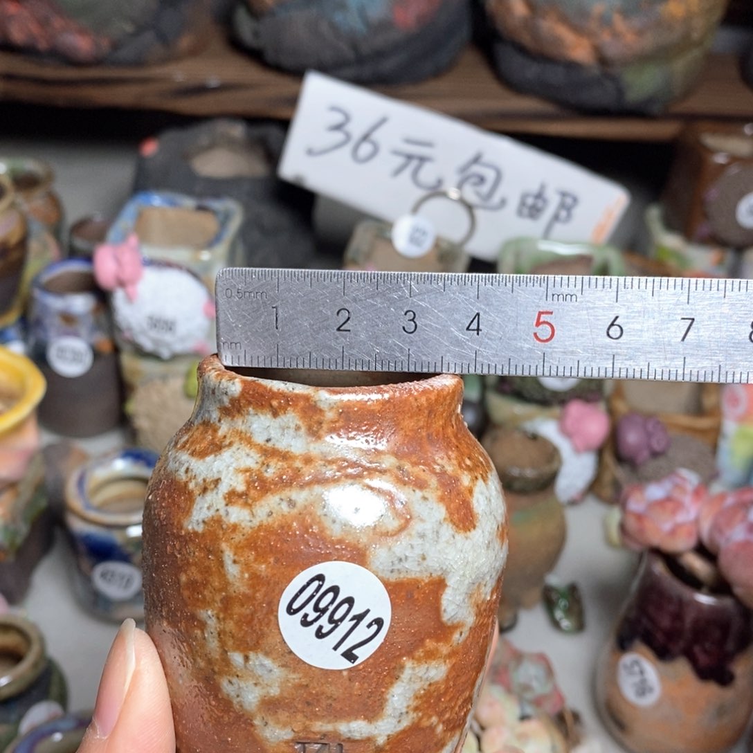 拍5送一个小礼物