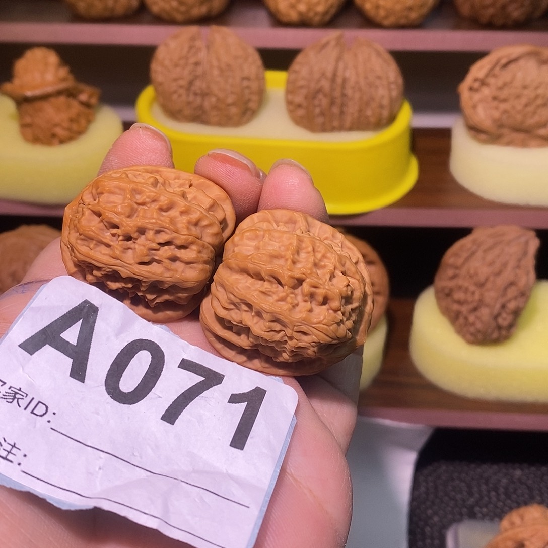 把件文玩核桃33白狮子