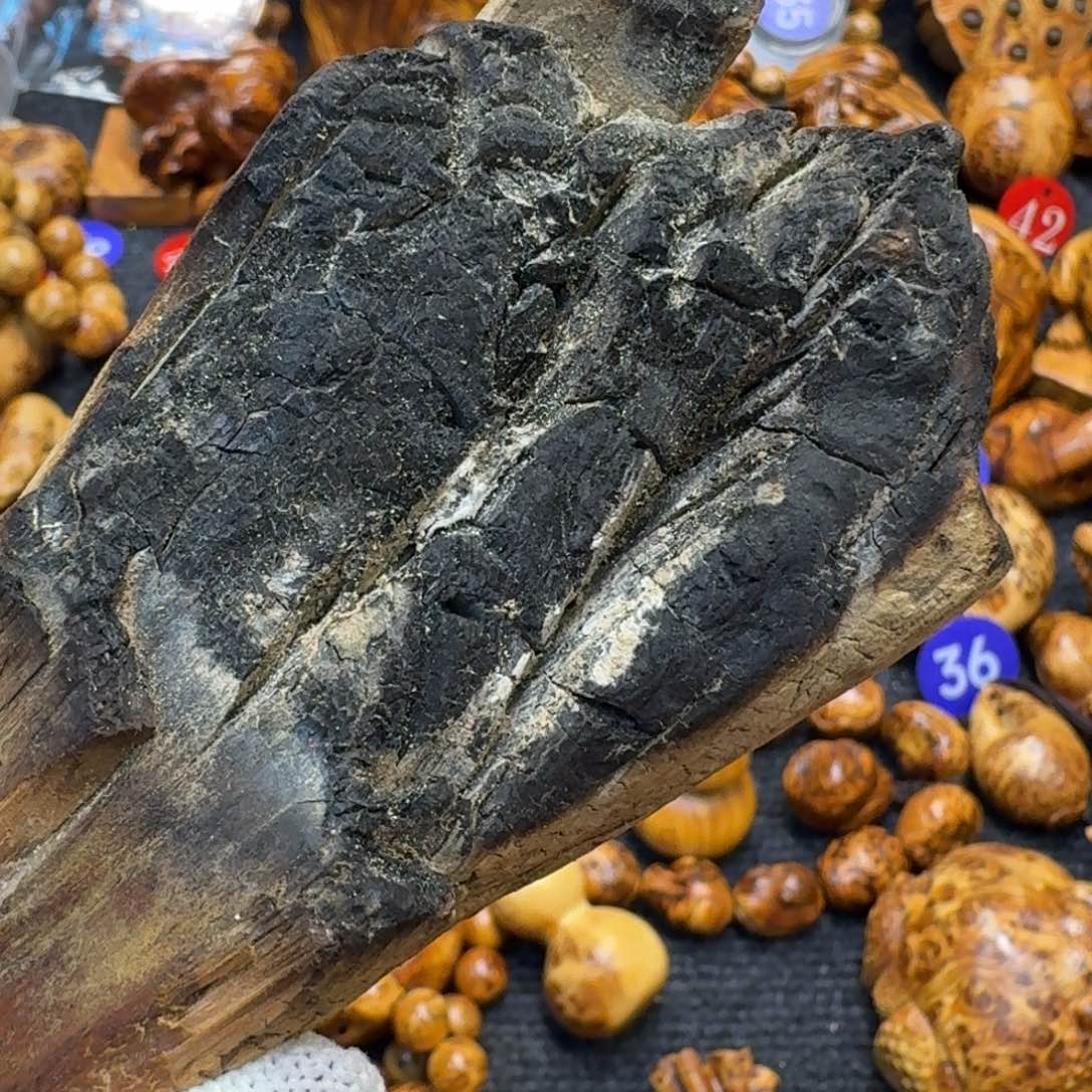 时***、无事牌柏木（崖柏）