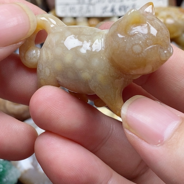 硅化珊瑚（珊瑚玉）颈饰未镶嵌